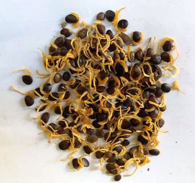 Slogan Writing Competition on the Importance of Financial Literacy