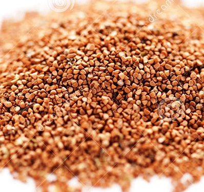 Slogan Writing Competition on the Importance of Financial Literacy