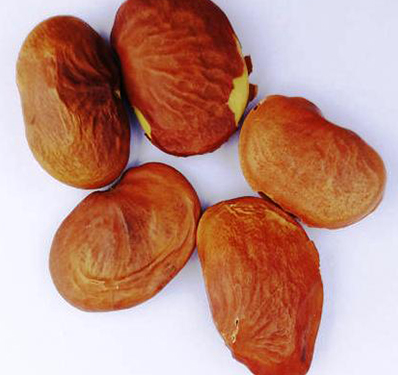 Slogan Writing Competition on the Importance of Financial Literacy