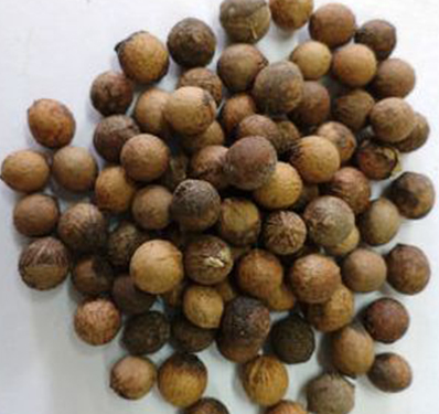 Slogan Writing Competition on the Importance of Financial Literacy