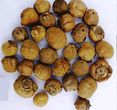 Slogan Writing Competition on the Importance of Financial Literacy