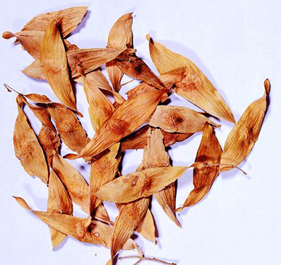 Slogan Writing Competition on the Importance of Financial Literacy