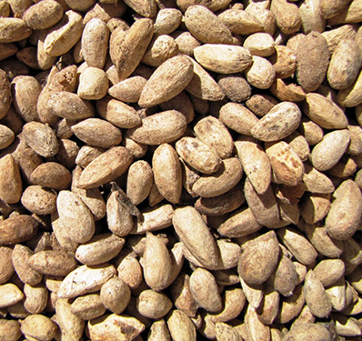 Slogan Writing Competition on the Importance of Financial Literacy