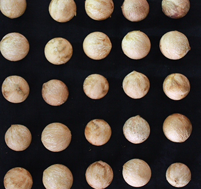 Slogan Writing Competition on the Importance of Financial Literacy