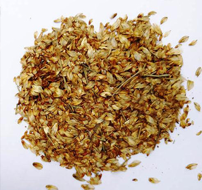 Slogan Writing Competition on the Importance of Financial Literacy