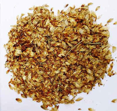 Slogan Writing Competition on the Importance of Financial Literacy