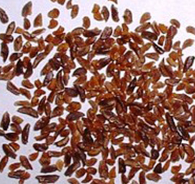 Slogan Writing Competition on the Importance of Financial Literacy