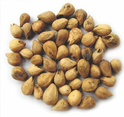 Slogan Writing Competition on the Importance of Financial Literacy